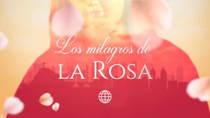 “Los Milagros de la Rosa” lidera su horario y reafirma el éxito de América TV – Radio Panamericana