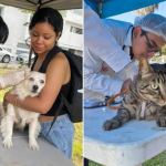 Campaña veterinaria gratuita este 16 de julio en Cercado de Lima: consulta el horario y los servicios para mascotas