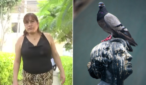 Mujer en VMT limpió excremento de paloma que cayó en su casa y perdió un dedo al contraer un hongo: «Era insoportable»