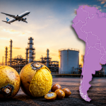 Una fruta podría convertirse en combustible para aviones: este país de América Latina invertirá US$3.000 millones en el plan