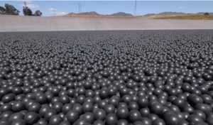 Gastaron 34 millones de dólares en 96 millones de bolas negras para proteger un depósito de agua y ahora deben retirarlas