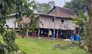 Se fueron de la ciudad hace 30 años y construyeron una vida en la Amazonía: cultivan sus alimentos y crían animales para sostener a su familia