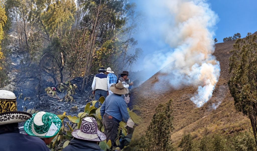 Backdrop